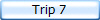 Trip 7
